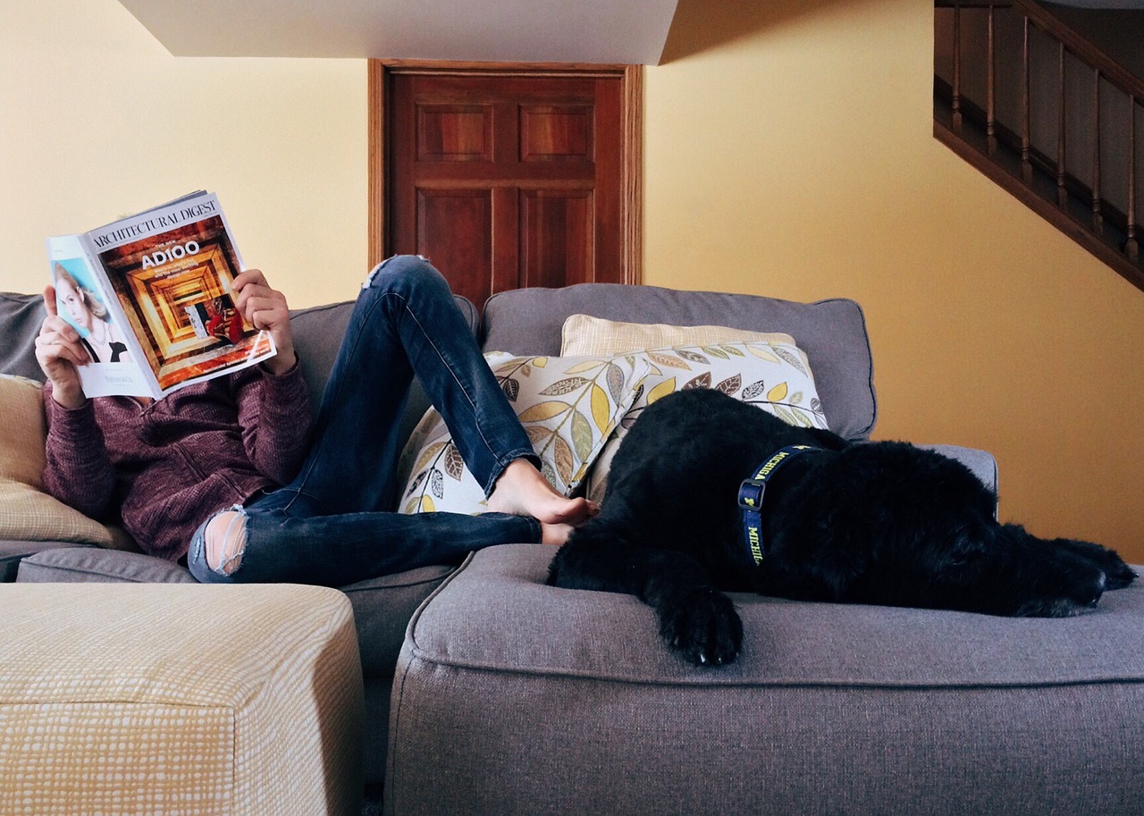 Pet-Friendly Home Safety Measures